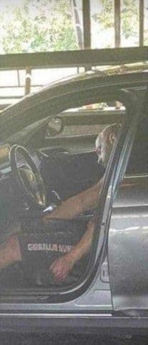 Mŕtvy Nermin Sulejmanović, zdroj: Bosnainfo