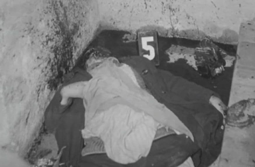 Zavraždená Helena Vojtechovská, zdroj: startitup.sk