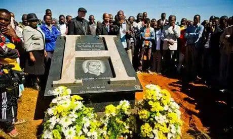 Posledná rozlúčka s Happym, zdroj: The Guardian