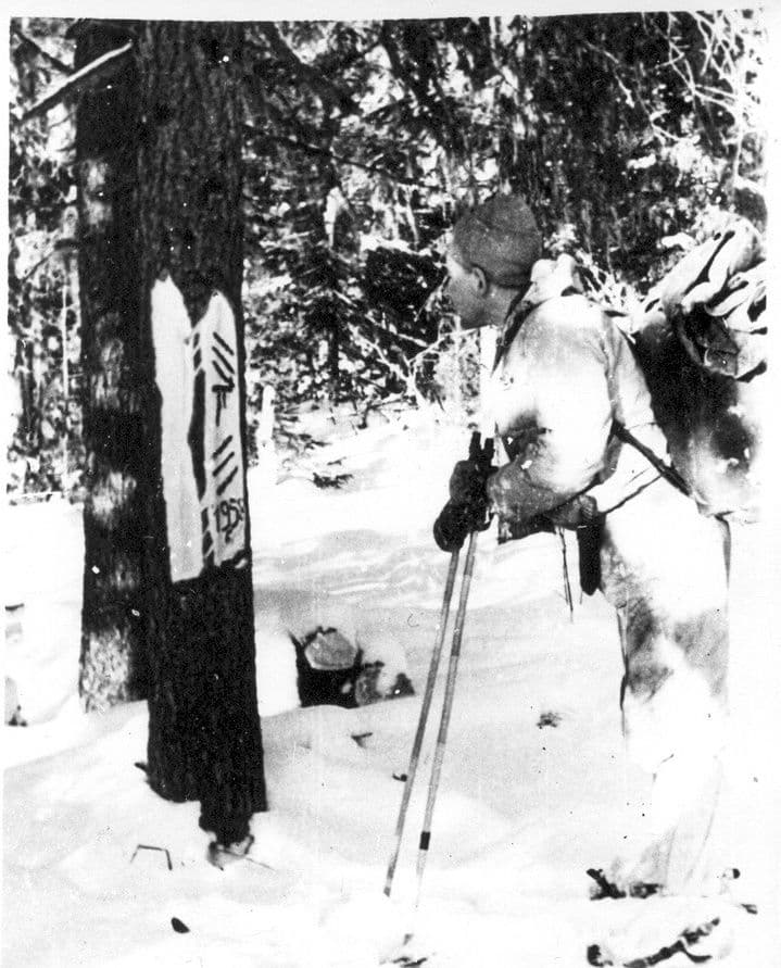 Člen Ďatlovovej výpravy pozerajúci na strom popísaný Mansiami, zdroj: dyatlovpass.com